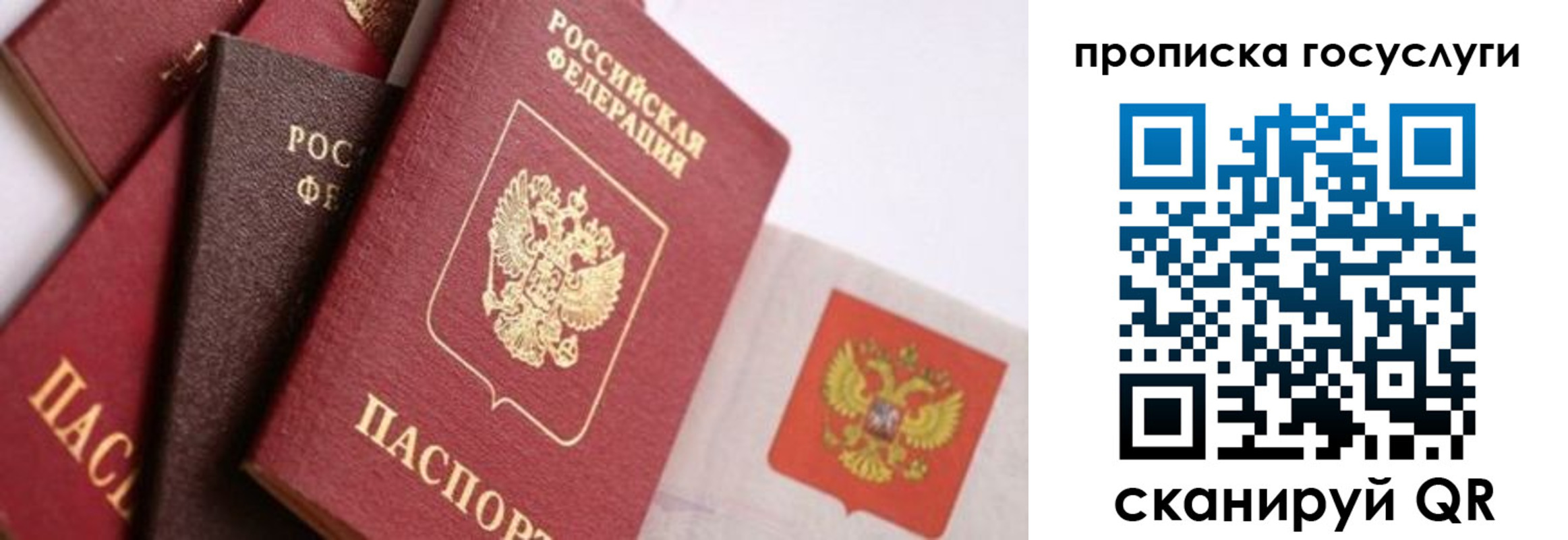 прописка законно в Архангельске